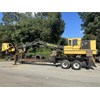 2016 Tigercat 234B Log Loader